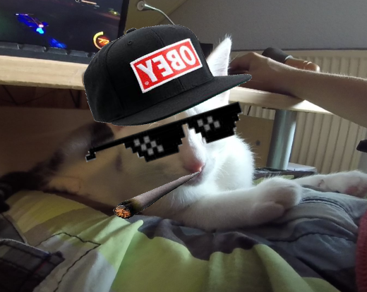 PL4YER