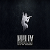 Nully