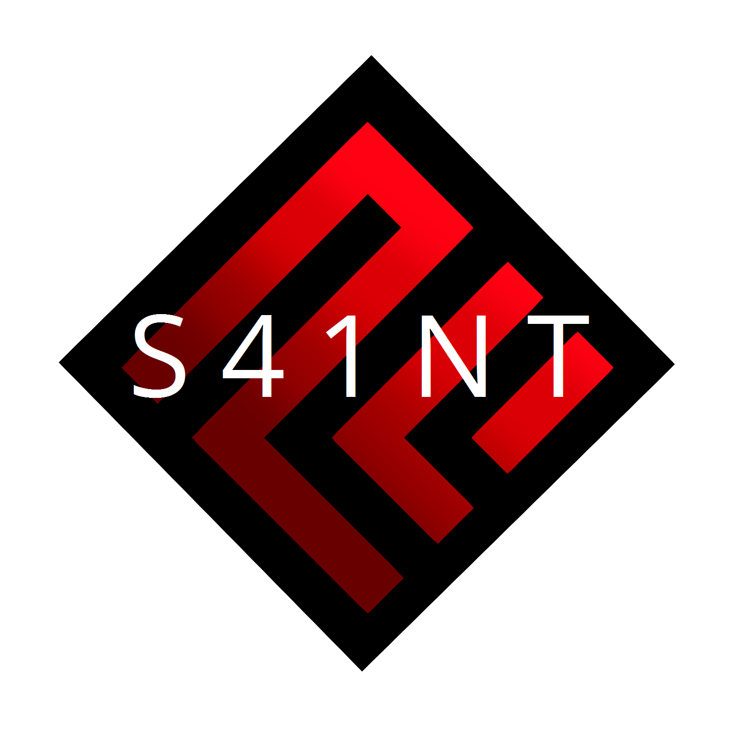 S41NT