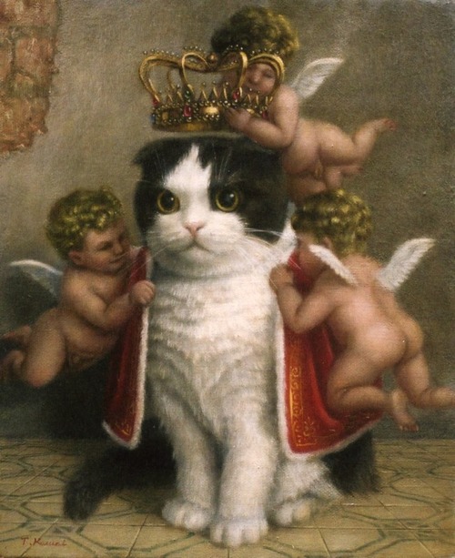 Sr. Gato