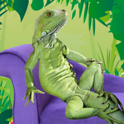 Iguane Fabuleux