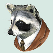 RRaccoon