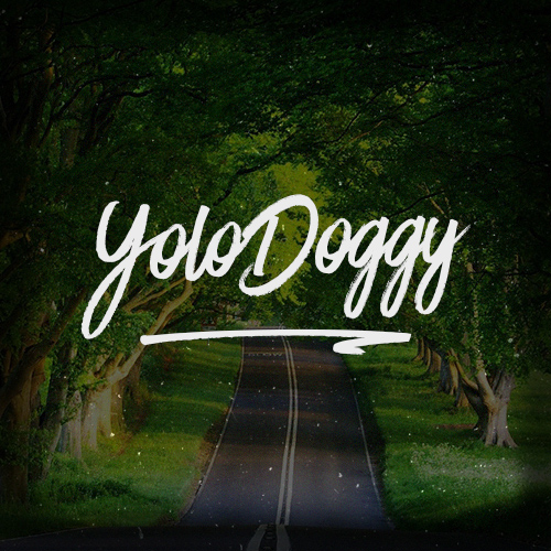 YoloDog