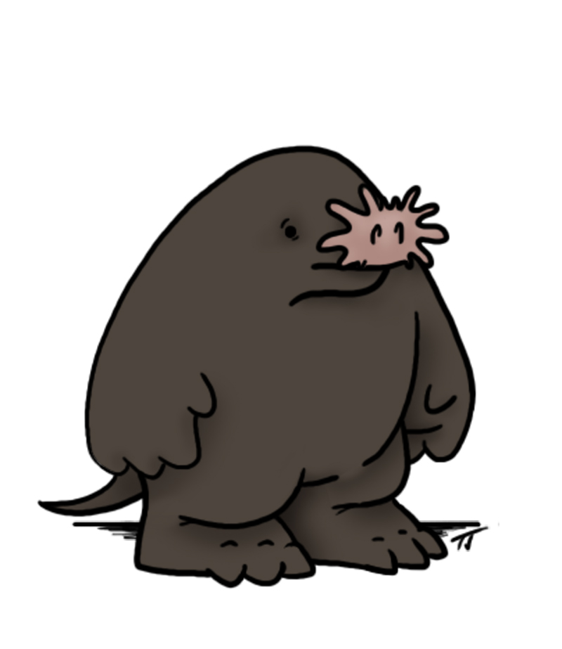 Mole