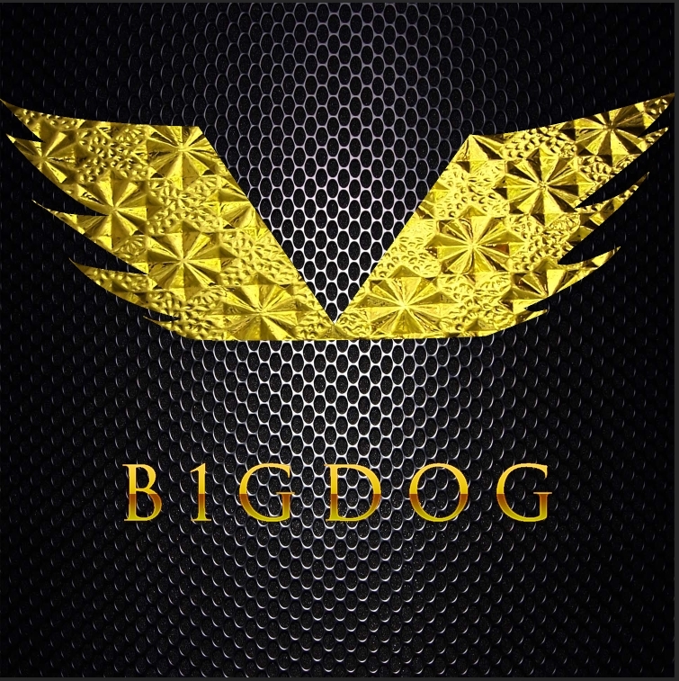 b1gdog