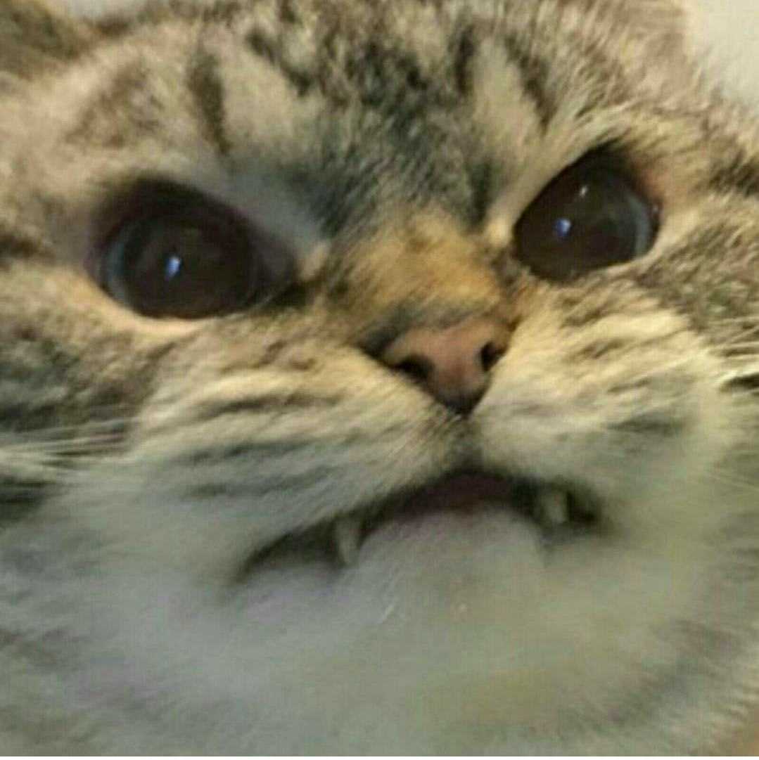 Enzzo