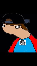seksylion
