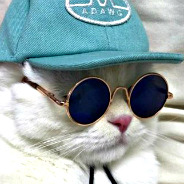 Del Gato