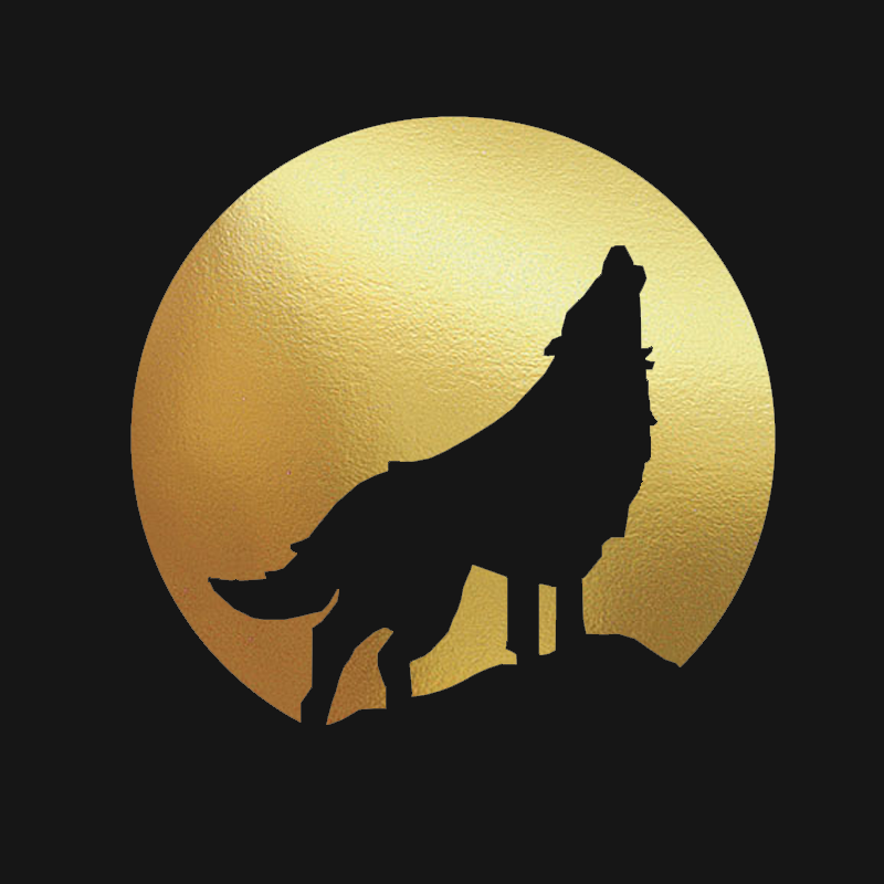 ShadowWarriorCJS