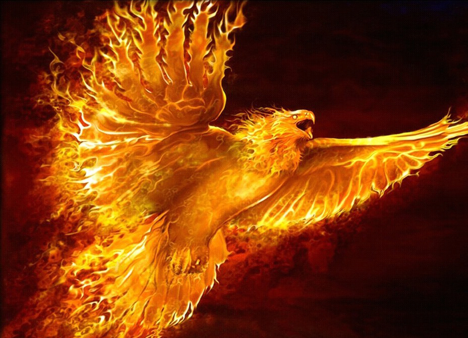 MrPhoenix