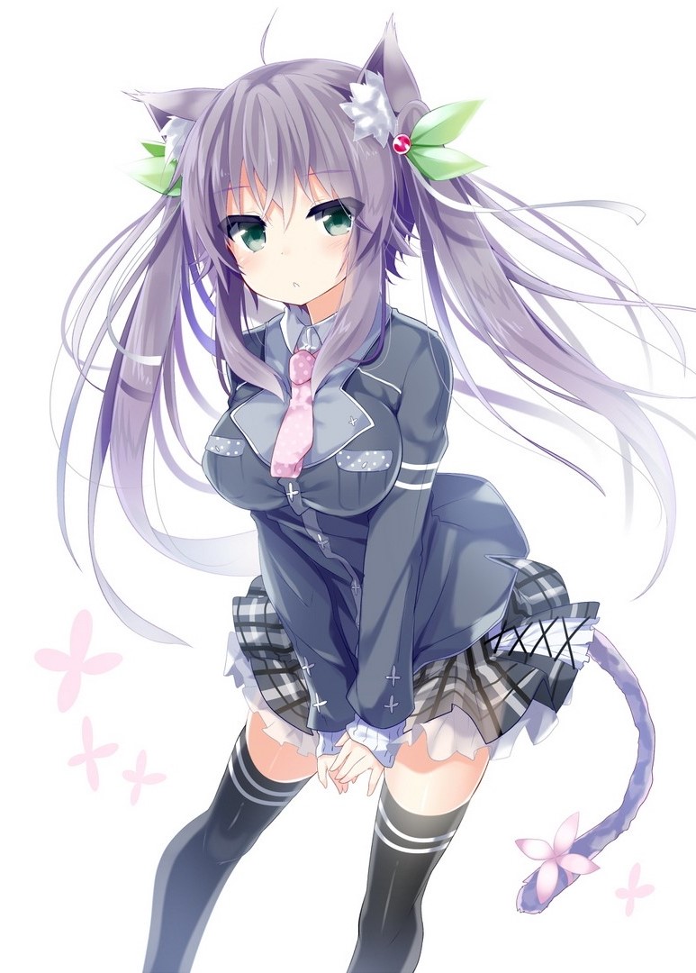 Dani-Sama