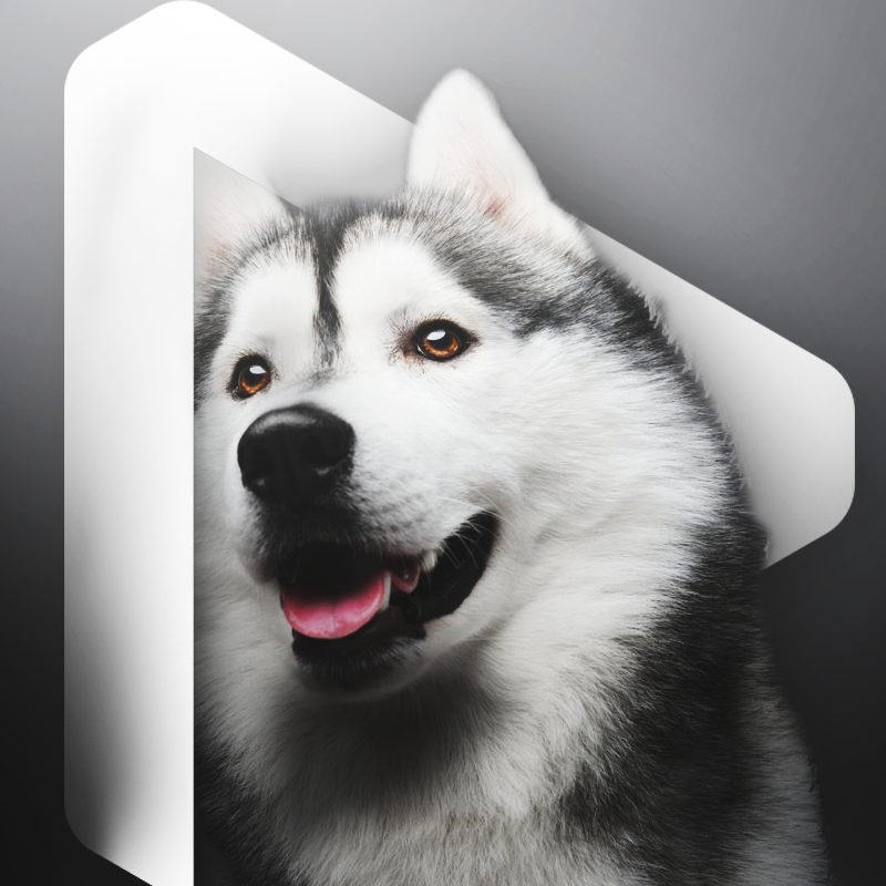 Husky